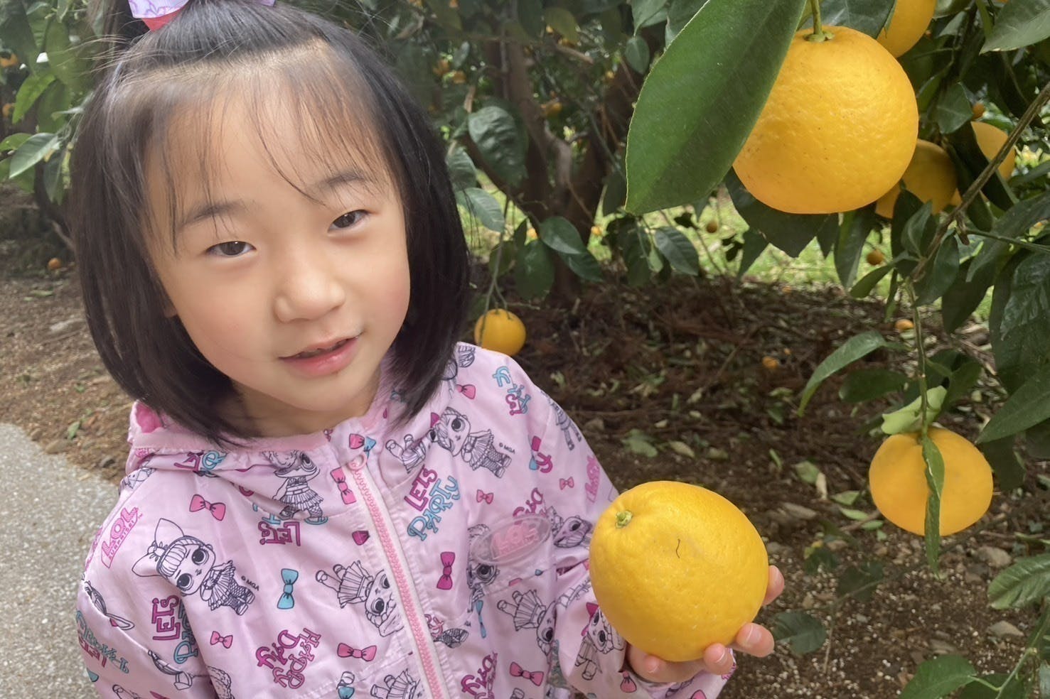 4番目のメイン画像