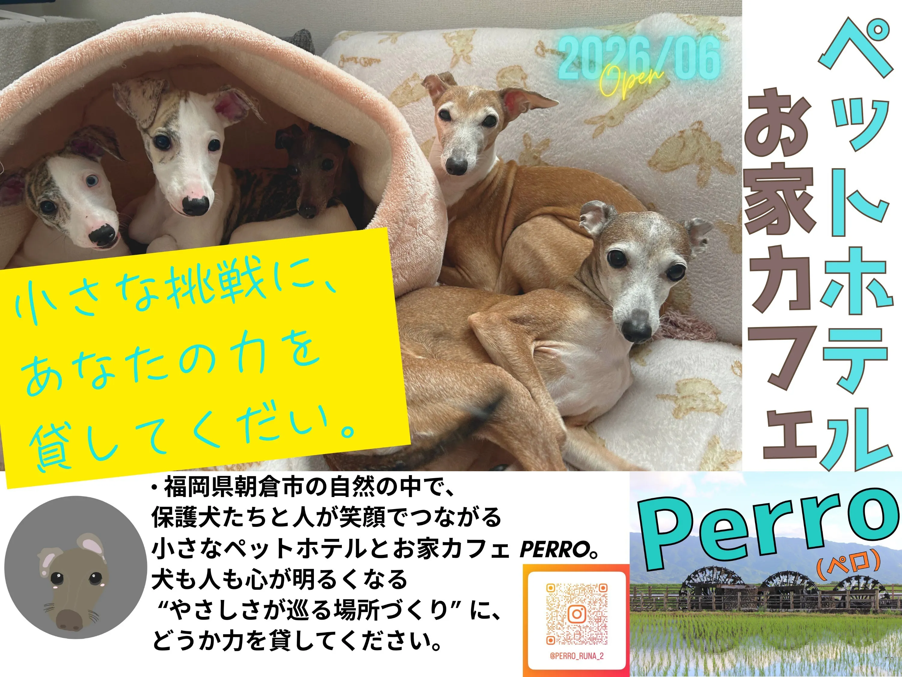 5番目のメイン画像