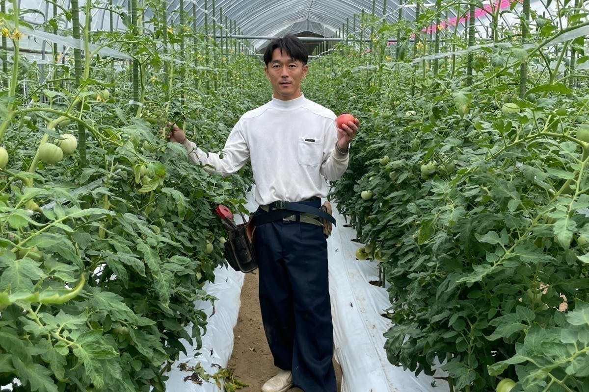 2番目のメイン画像