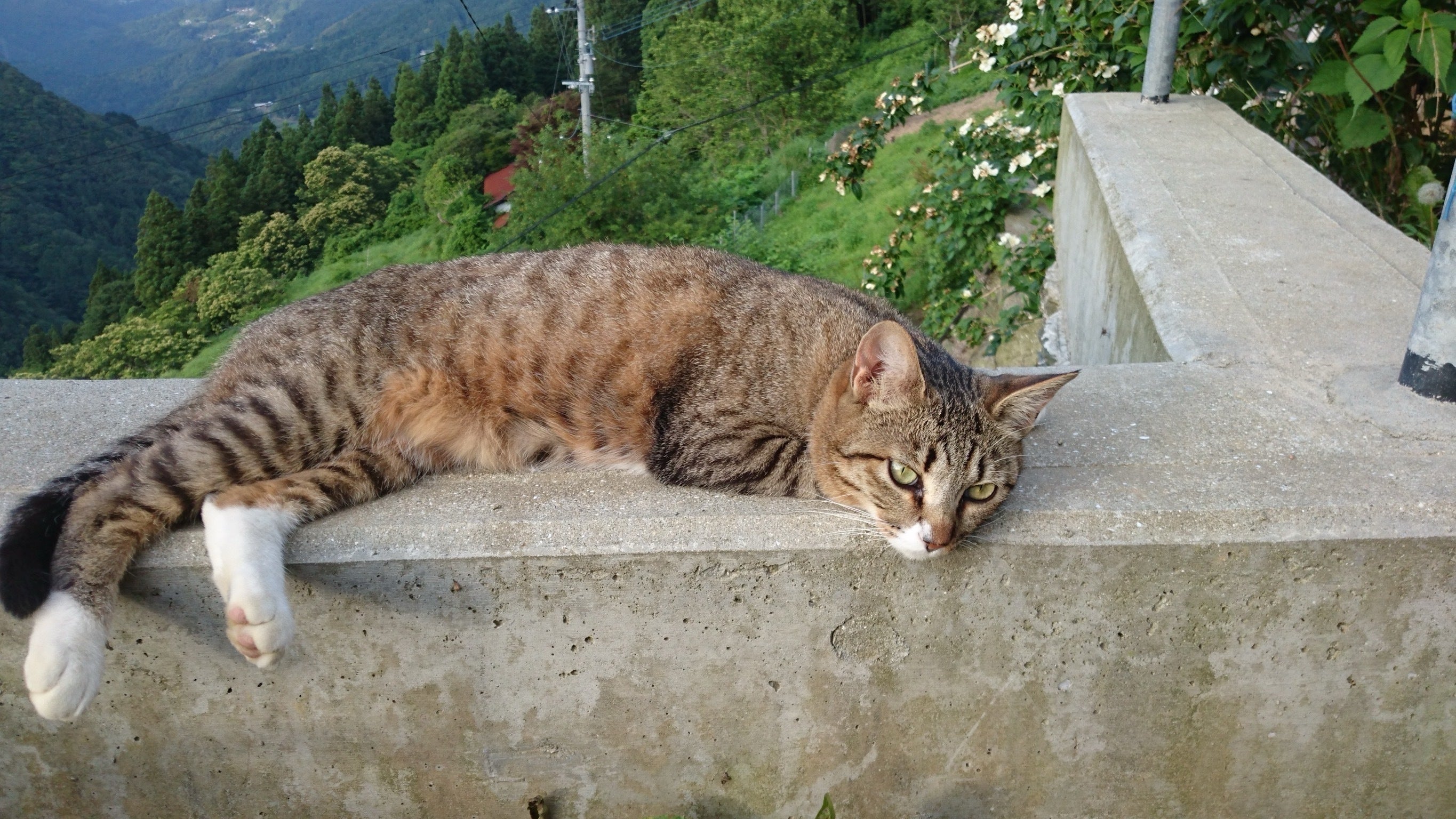 4番目のメイン画像