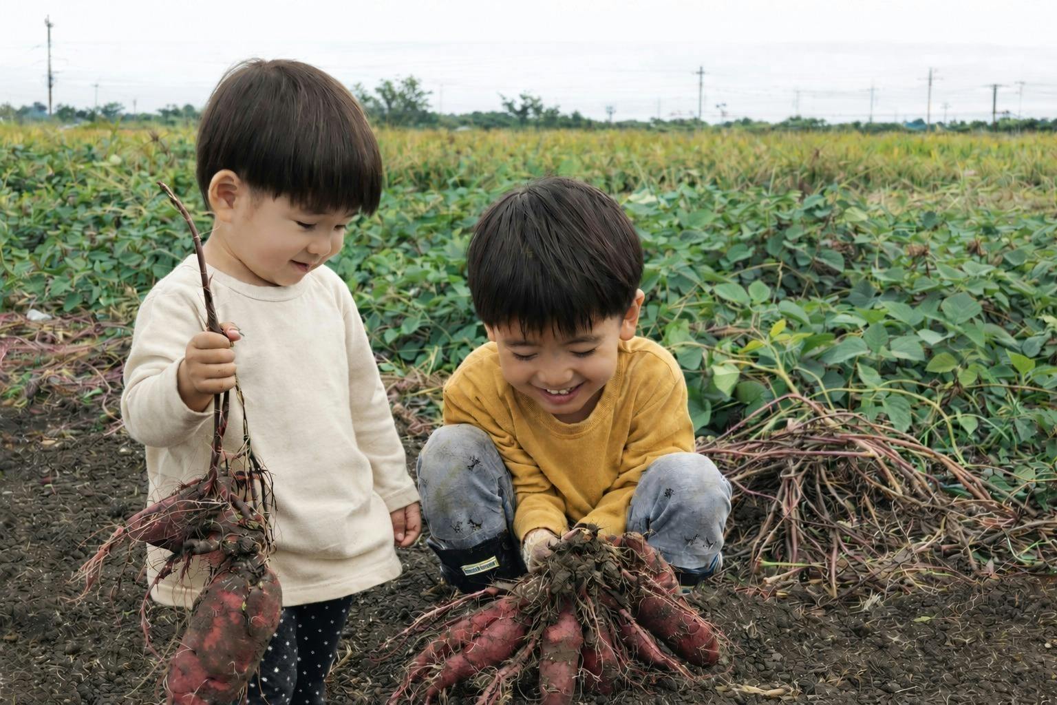 5番目のメイン画像