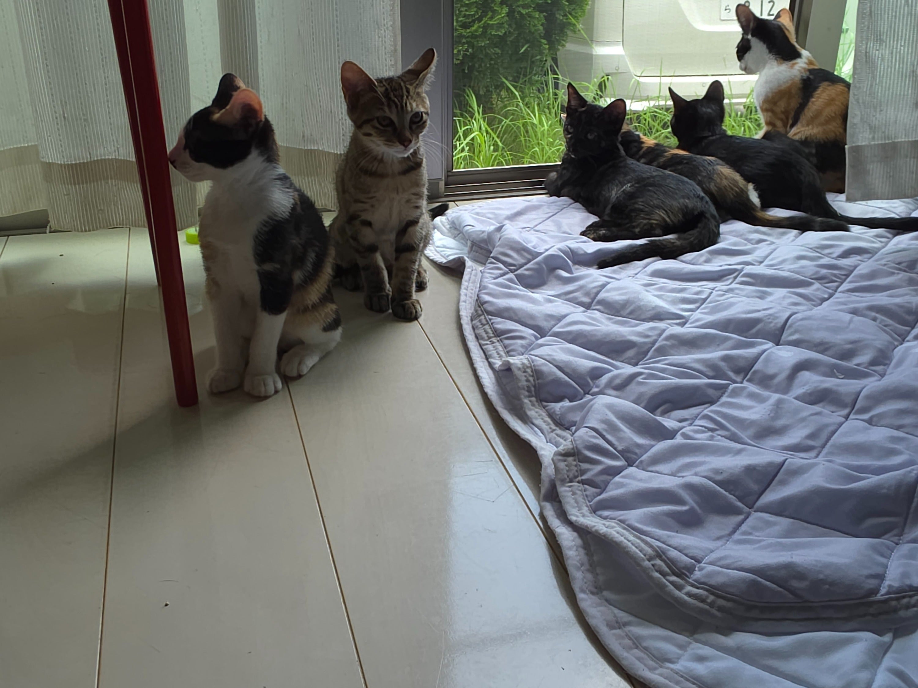 5番目のメイン画像