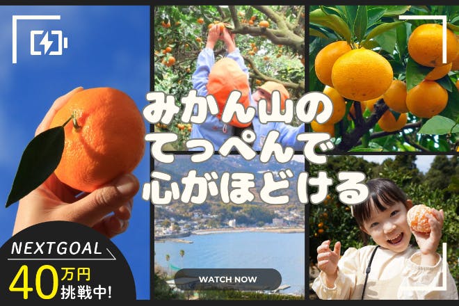 みかん山のてっぺんへ！熱海の絶景を味わうモノレールを作りたい