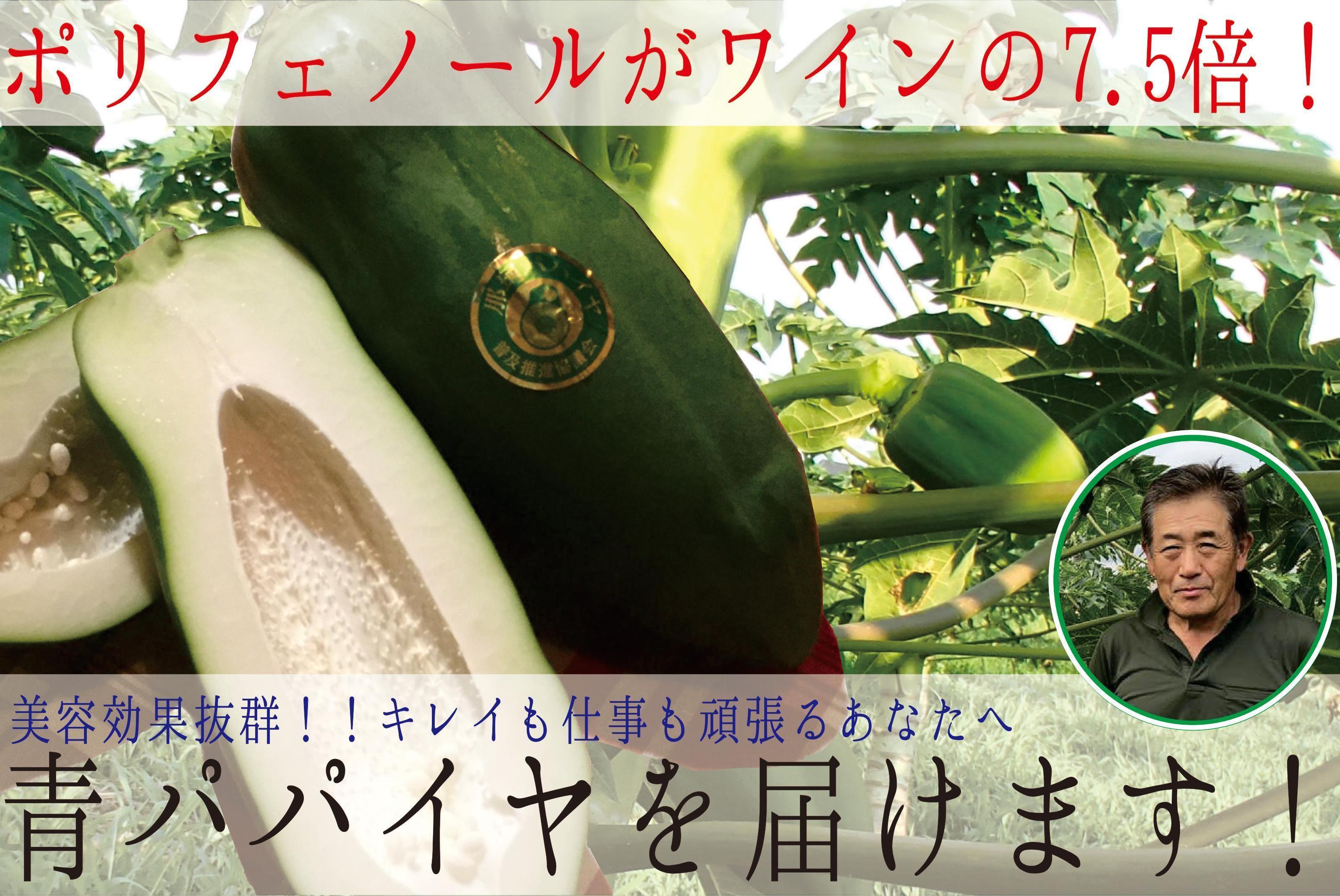 仕事もキレイも頑張るあなたへお届けしたい美容効果抜群の青パパイヤを届けたい Campfire キャンプファイヤー