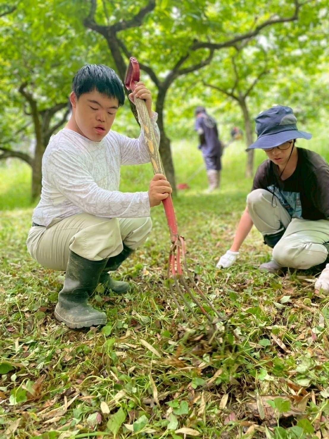 4番目のメイン画像