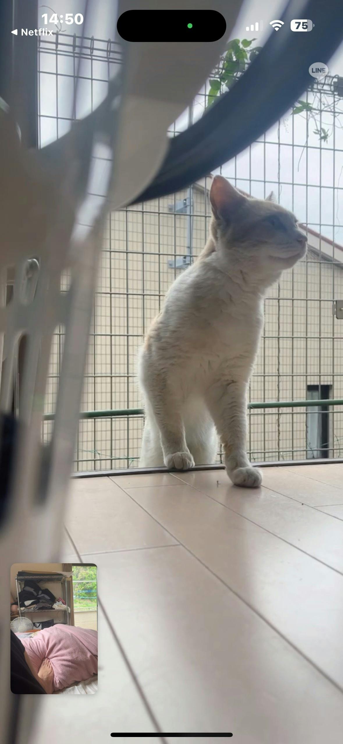 5番目のメイン画像