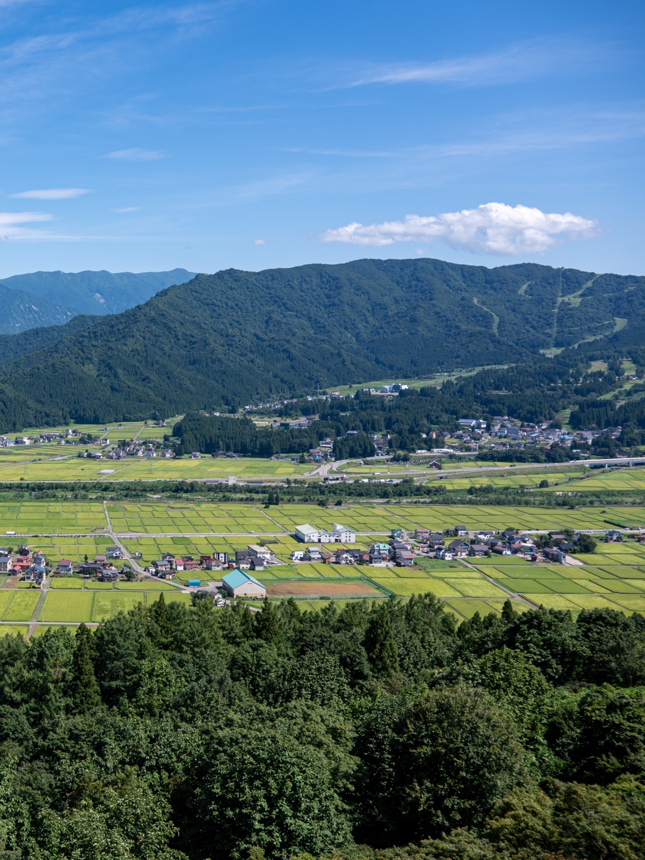 3番目のメイン画像