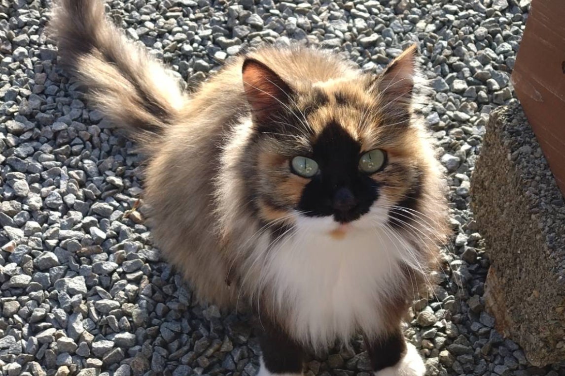 1番目のメイン画像