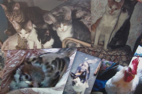 1番目のメイン画像