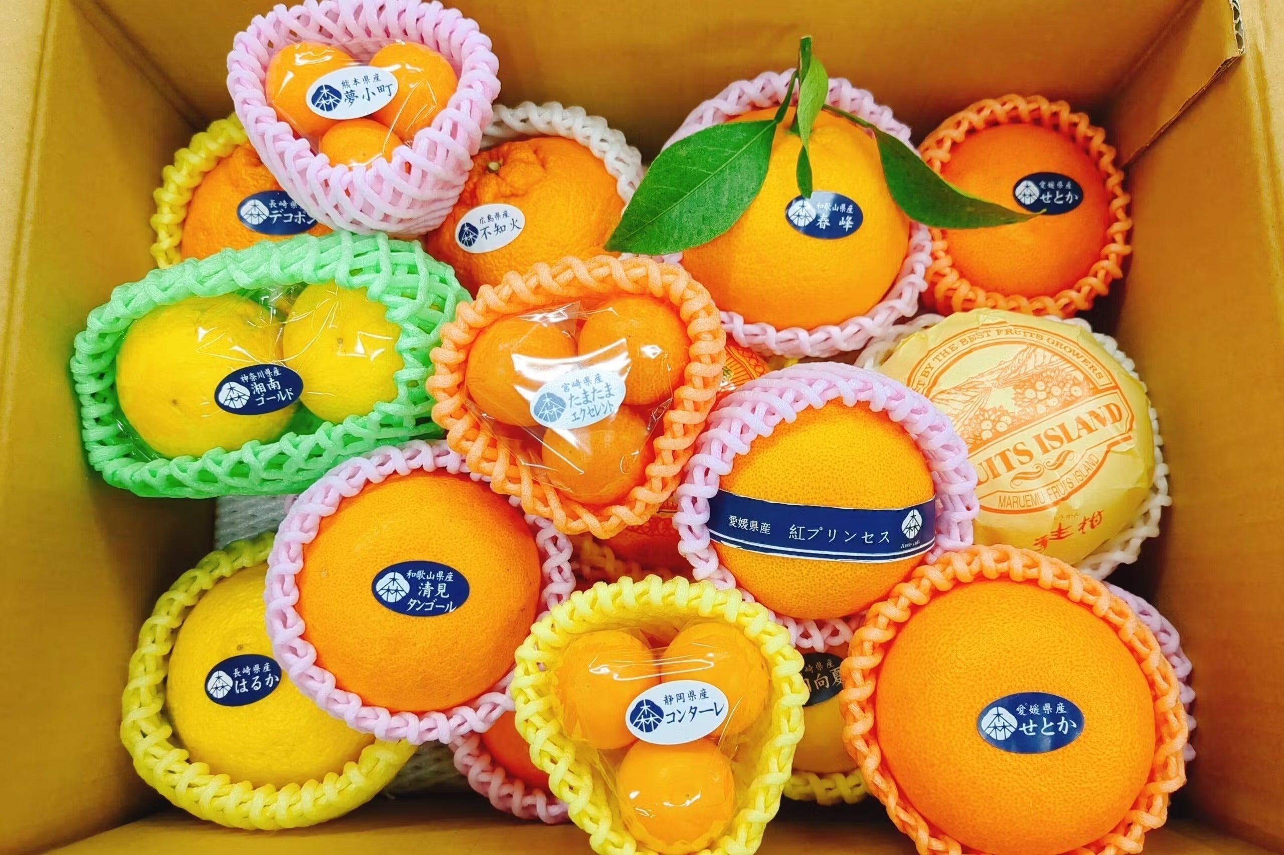 5番目のメイン画像