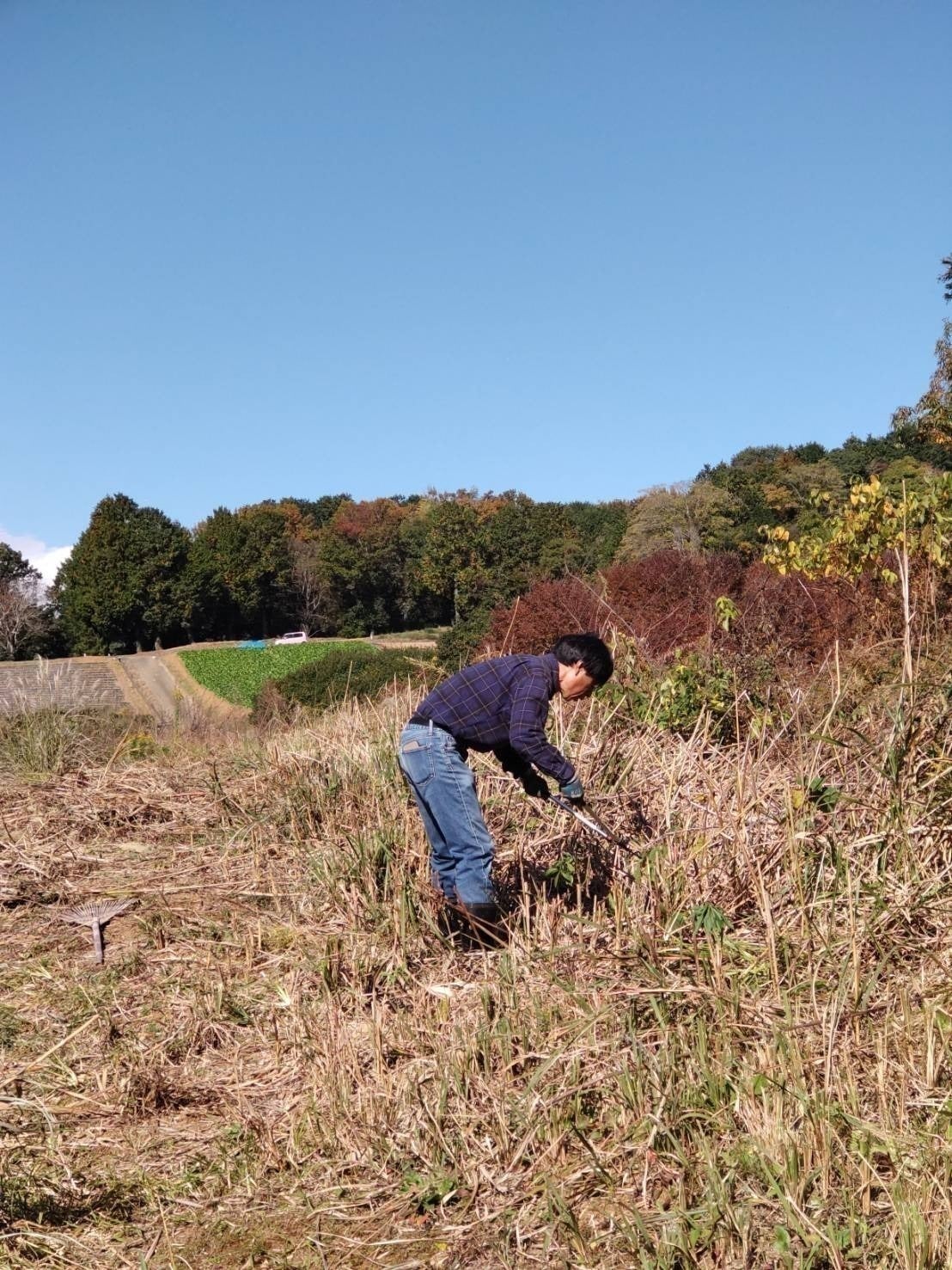 4番目のメイン画像