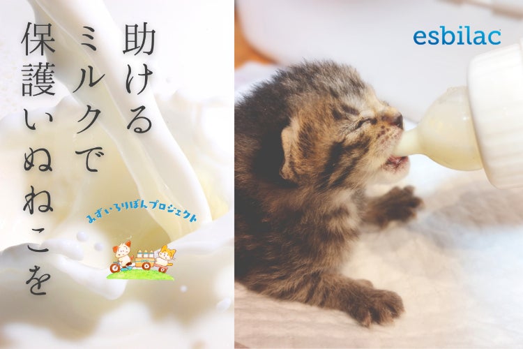 みんなで保護いぬねこへミルクを届けよう！「みずいろりぼん