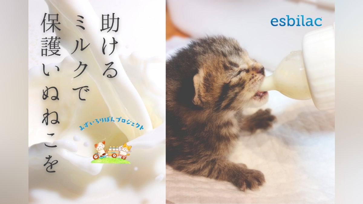 みんなで保護いぬねこへミルクを届けよう!「みずいろりぼん みんなで保護いぬねこへミルクを届けよう!「みずいろりぼん