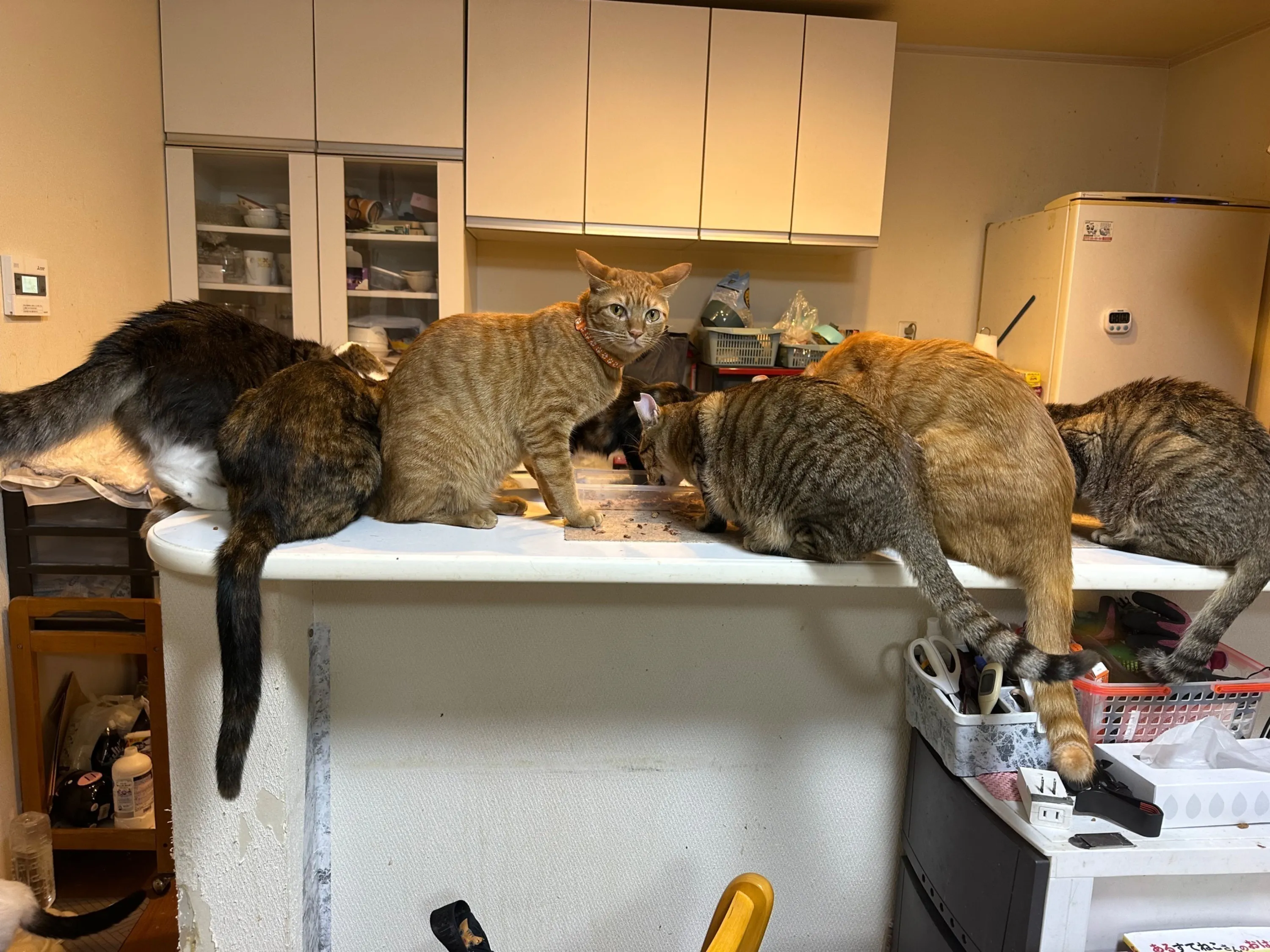 5番目のメイン画像