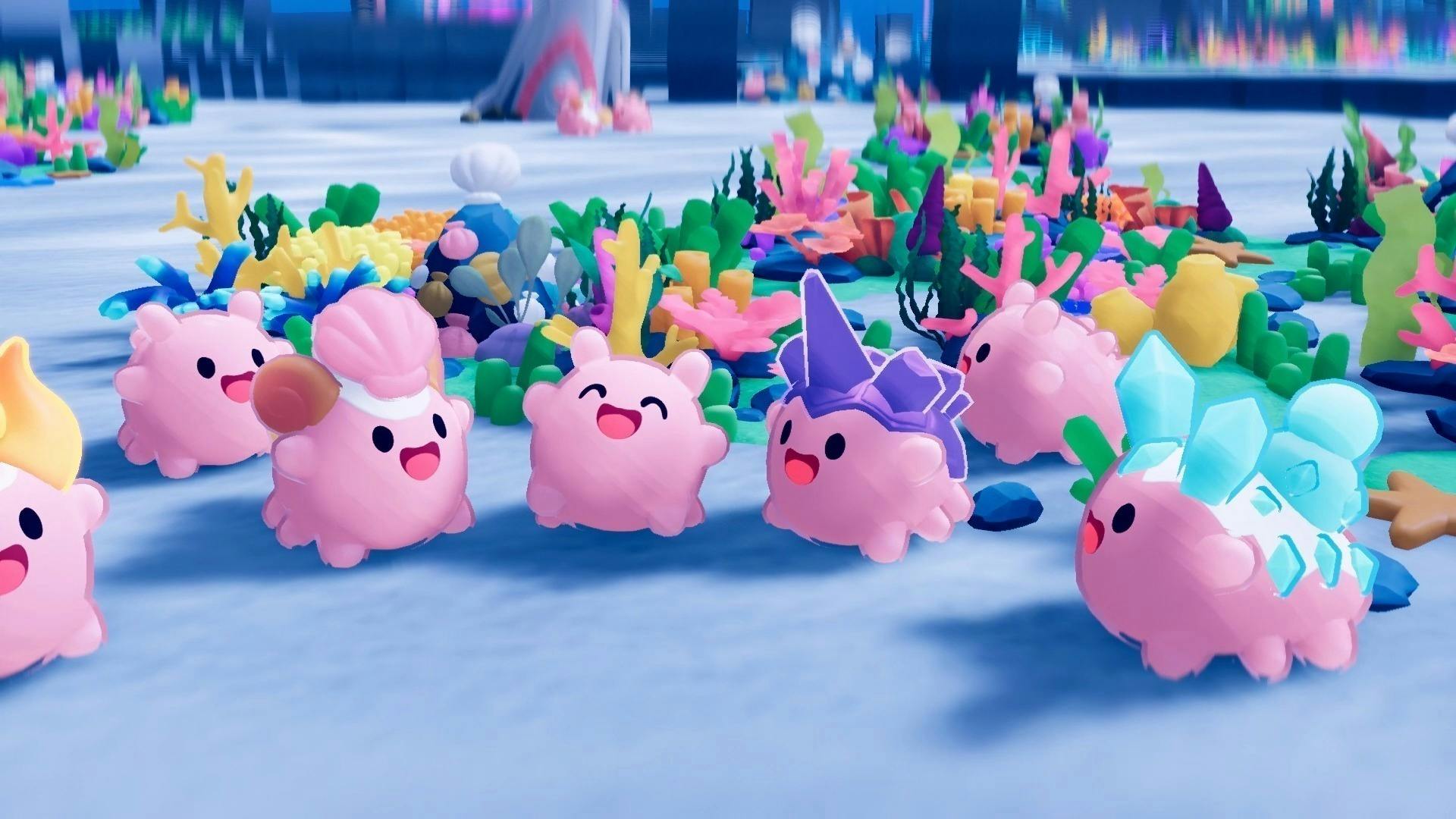 ナマコを世界へ！NAMAKORIUM グローバルIP展開応援プロジェクト