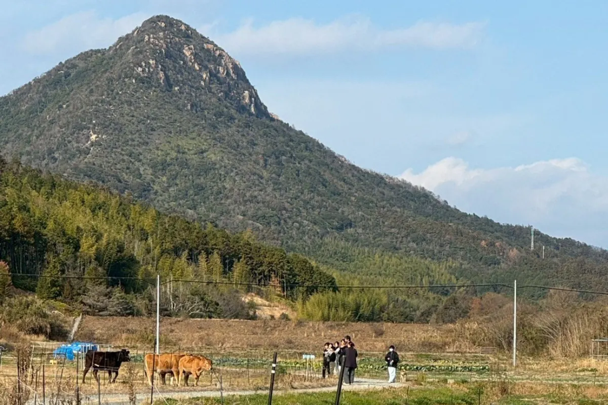 2番目のメイン画像