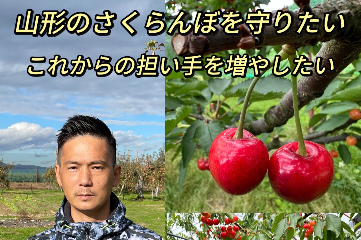 山形さくらんぼを改植！新苗購入プロジェクト - CAMPFIRE (キャンプ