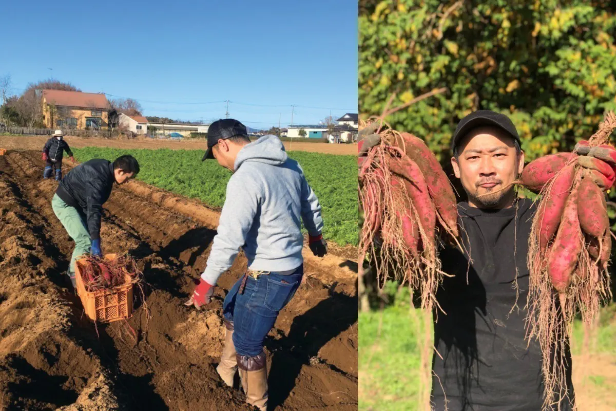 4番目のメイン画像