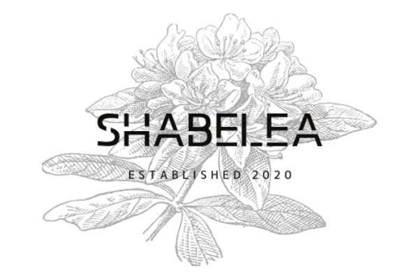 Discordのチャット読み上げBOT「ShabeleA」の運営・改良 CAMPFIRE