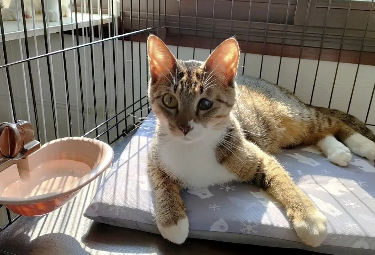 5番目のメイン画像