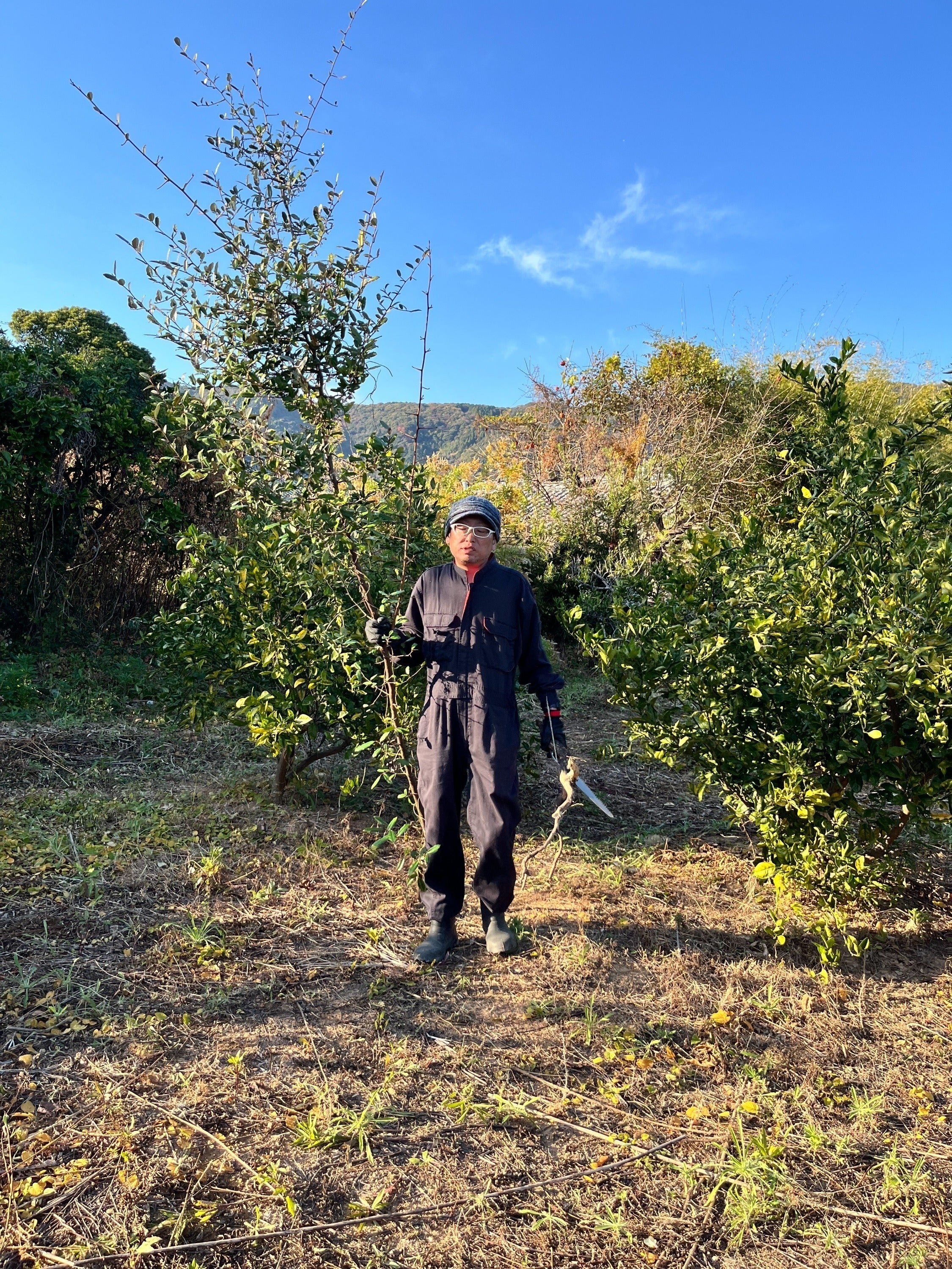 5番目のメイン画像