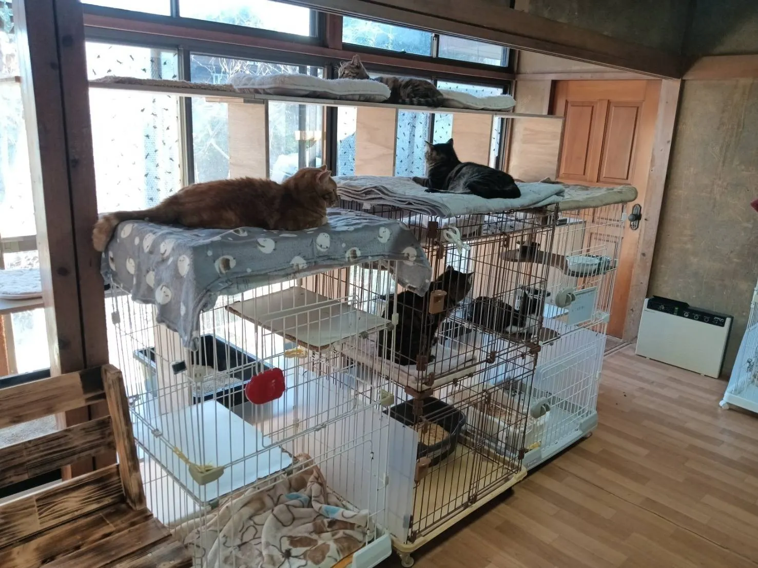 4番目のメイン画像