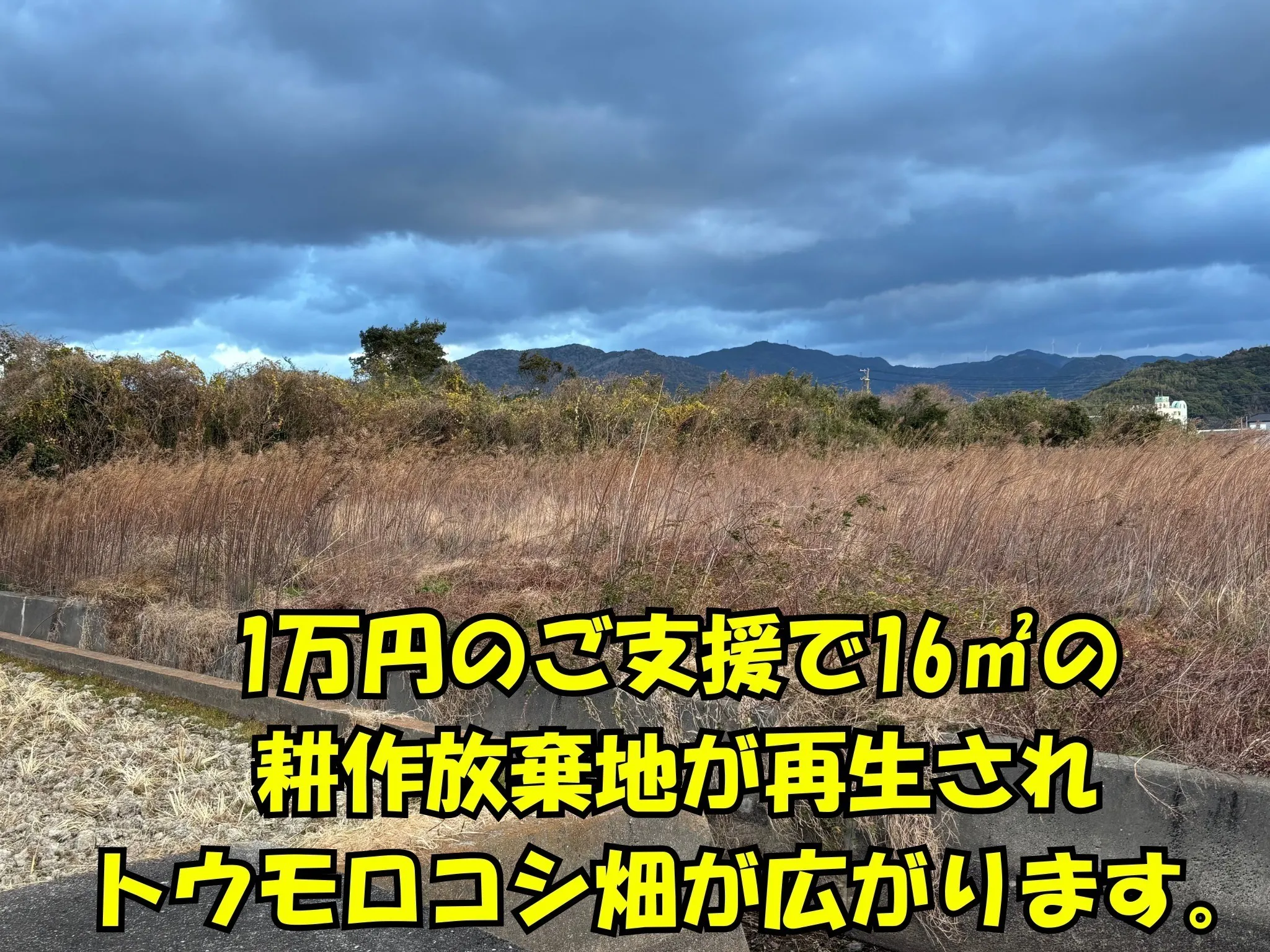 2番目のメイン画像