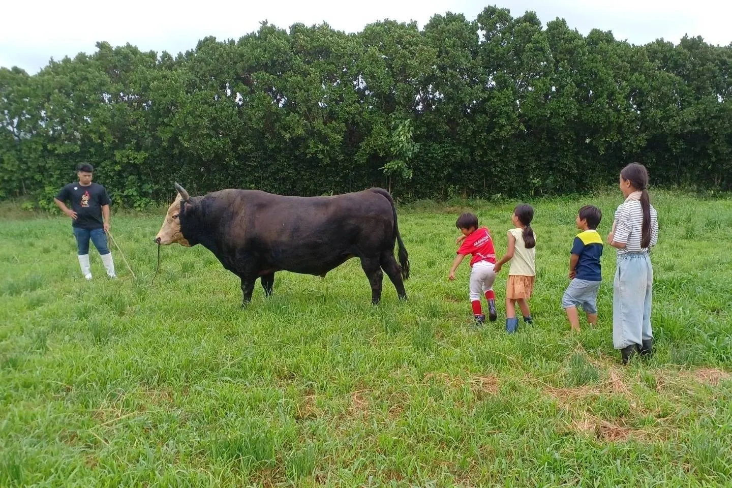 4番目のメイン画像