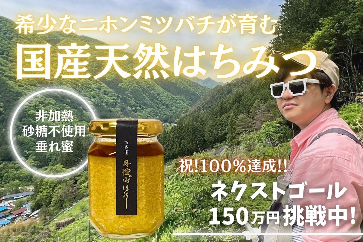 85 山採り　ハシバミ Mount Mizugaki: Single-digit temperatures! Comfortable clothing