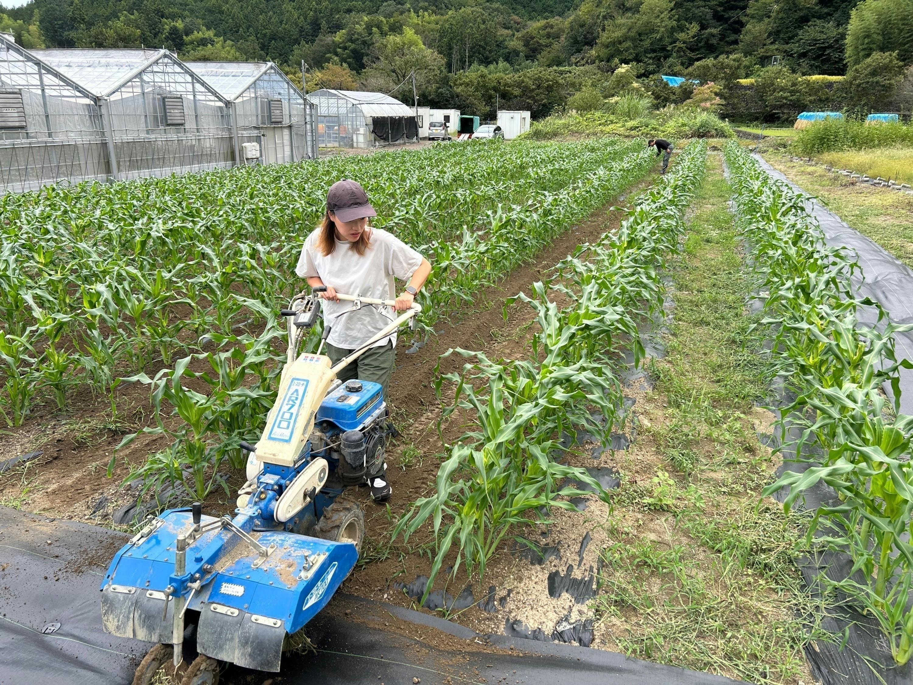 2番目のメイン画像