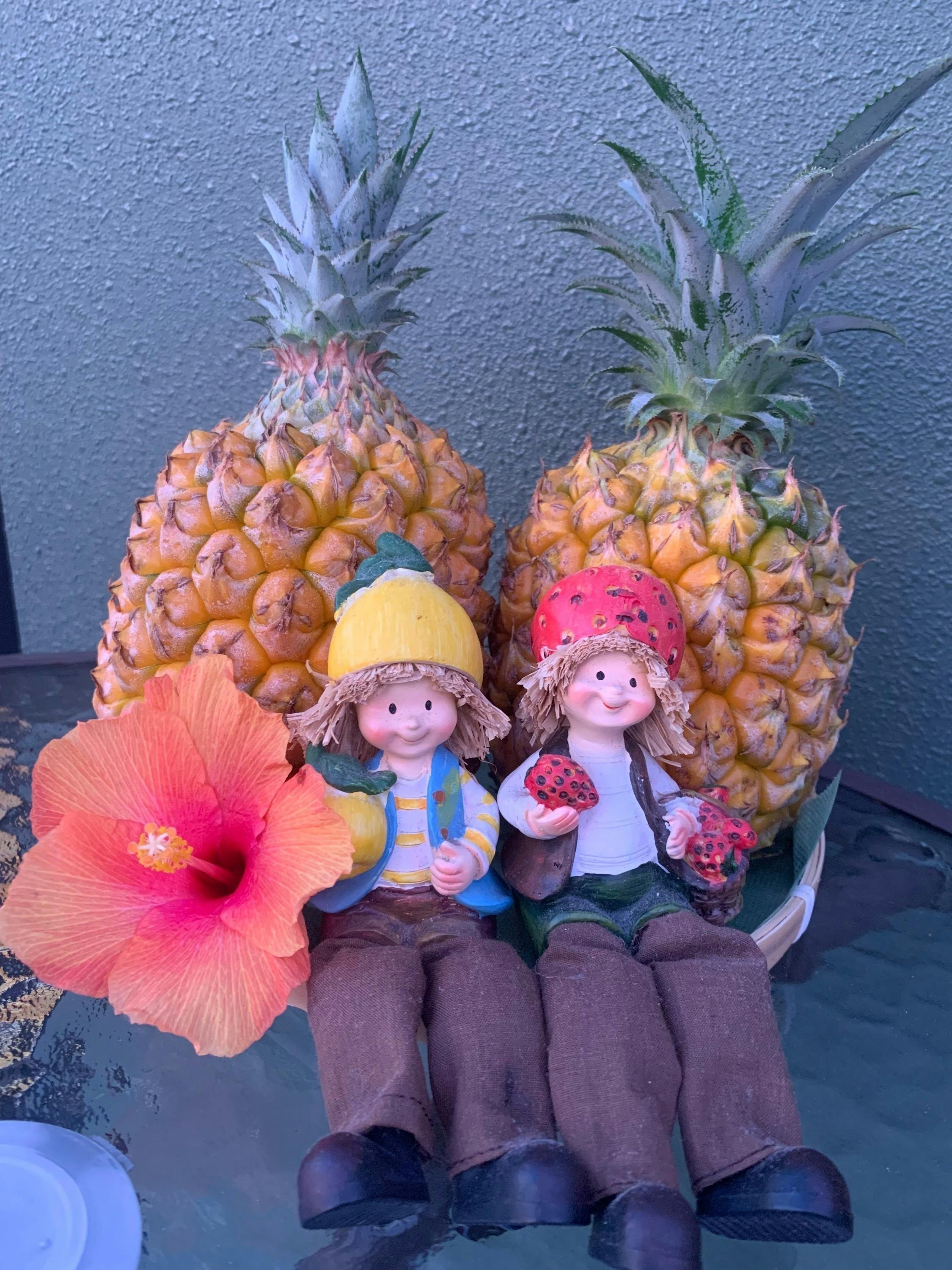 パイナップル畑様 リクエスト 7点 まとめ商品 パイナップル畑様 リクエスト 7点 まとめ商品 パイナップル畑様