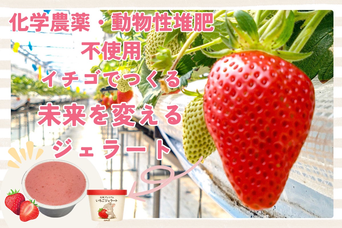 フルーツ大国茨城県石岡の大自然が育てた特別なイチゴで、未来を変える
