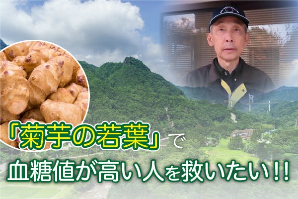 自分と同じように 血糖値で困っている人 に 菊芋の若葉 を使った商品を広めたい Campfire キャンプファイヤー