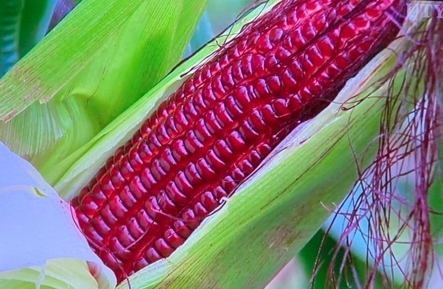 5番目のメイン画像