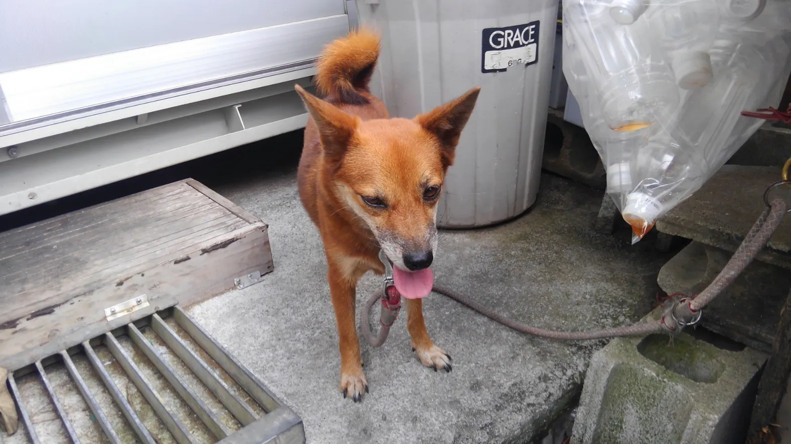 5番目のメイン画像