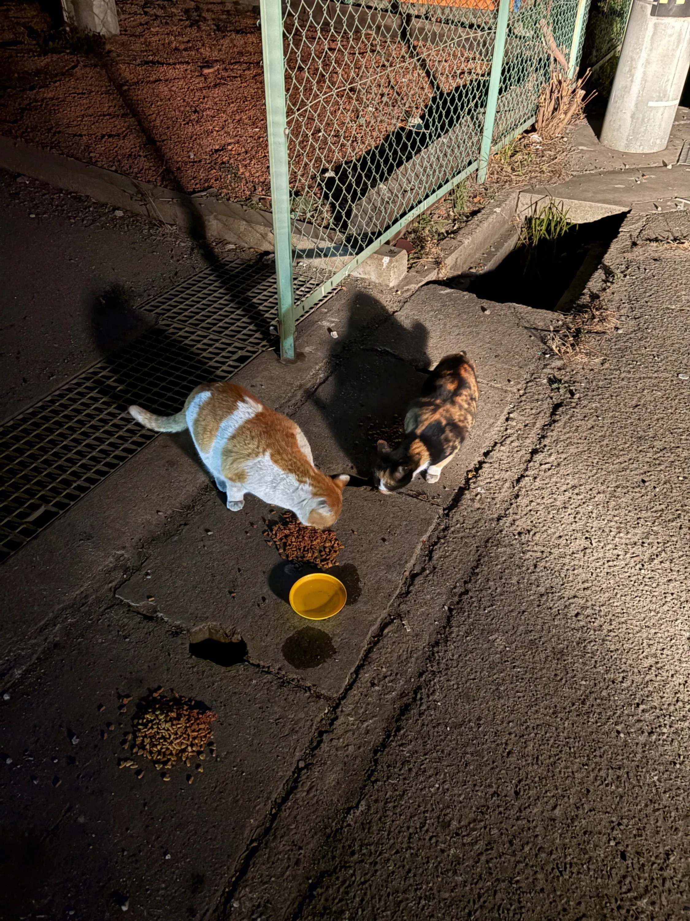 5番目のメイン画像