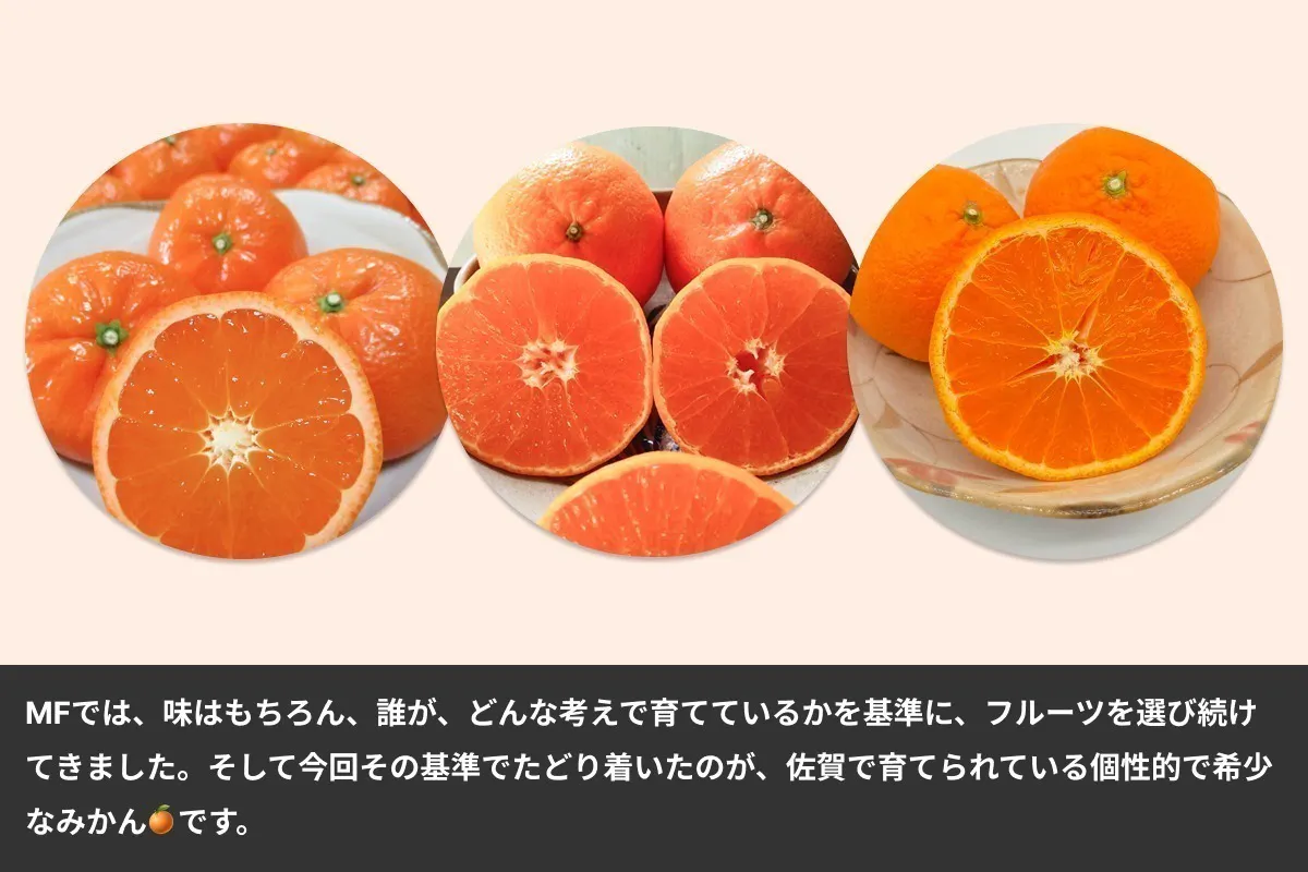 果物 nicomelu 幻のみかん”で切り拓く独自販路！ 「出荷」から「届ける」農業へ