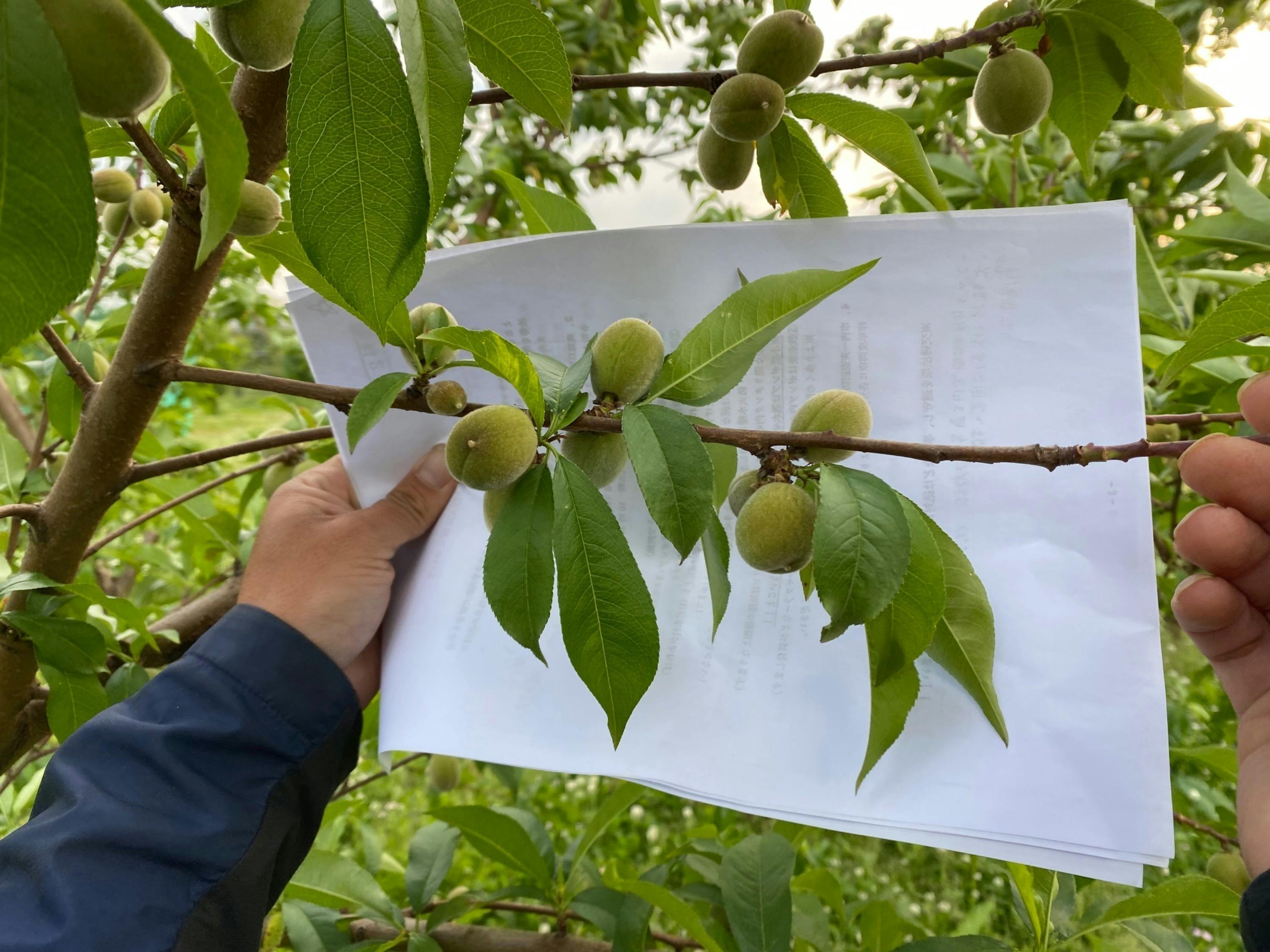 4番目のメイン画像