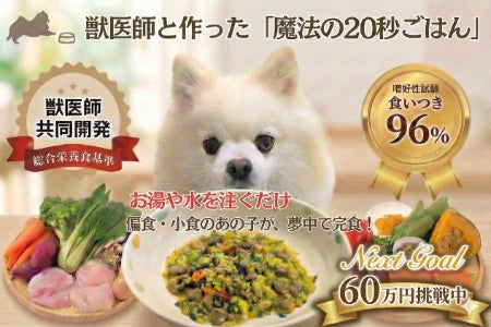食いつき96%】獣医師と作った魔法の20秒ご飯。偏食の愛犬が夢中で完食