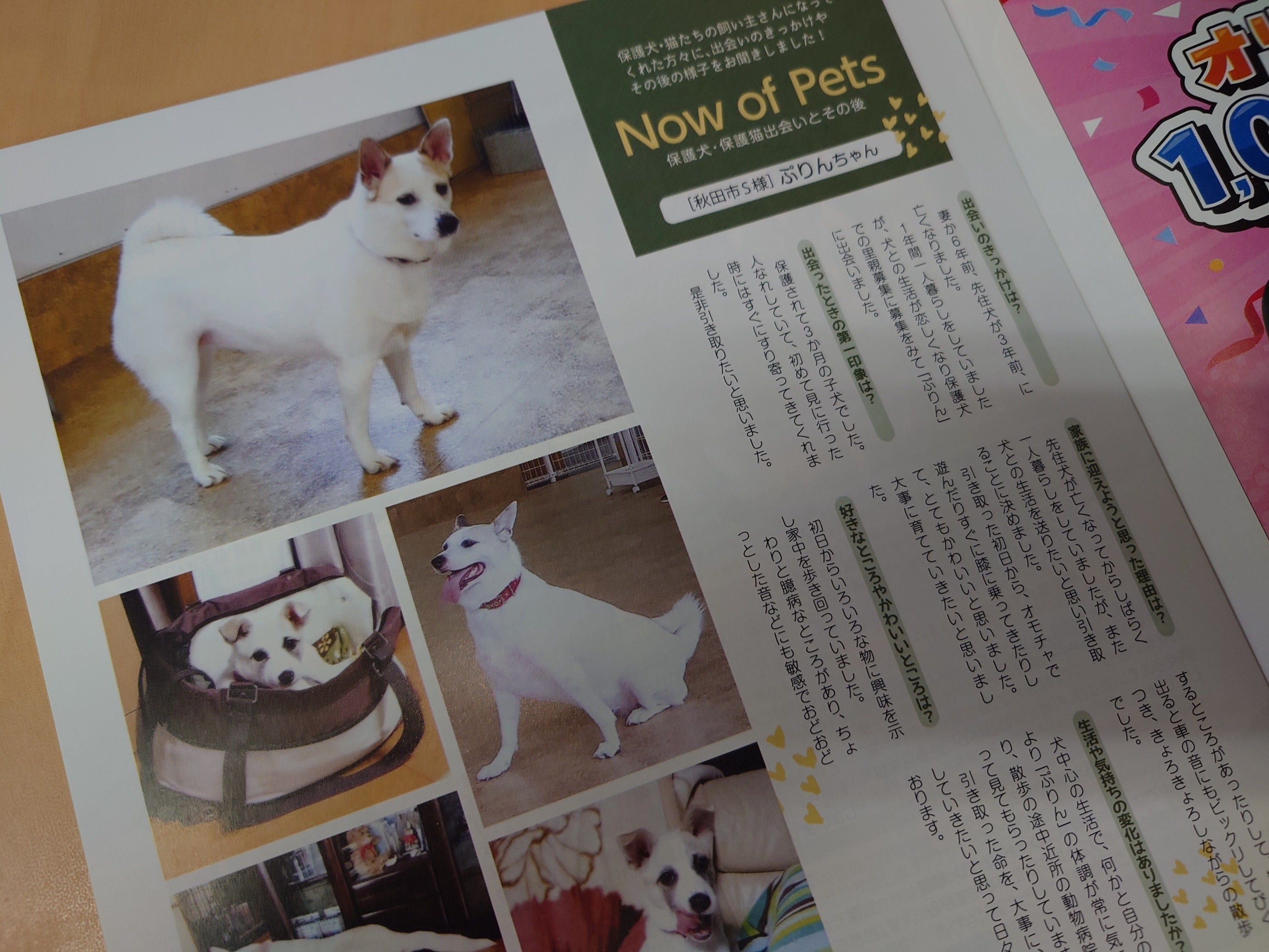 3番目のメイン画像