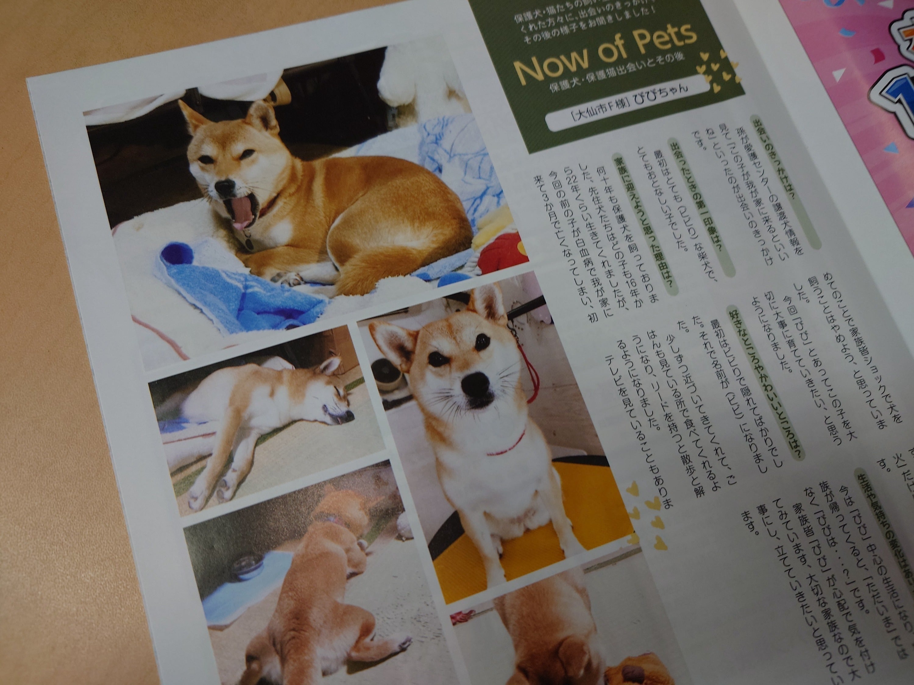2番目のメイン画像
