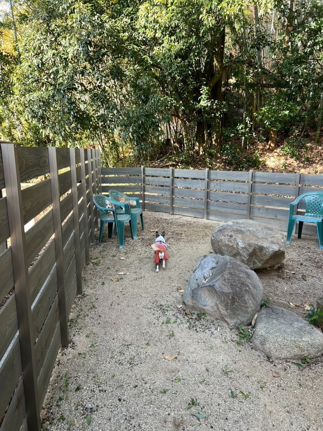 4番目のメイン画像