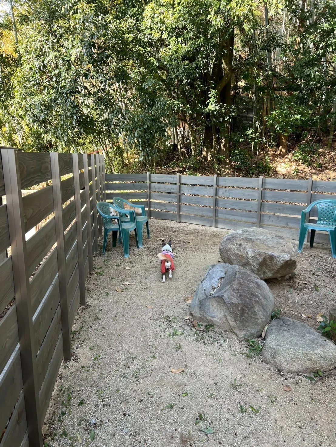 4番目のメイン画像