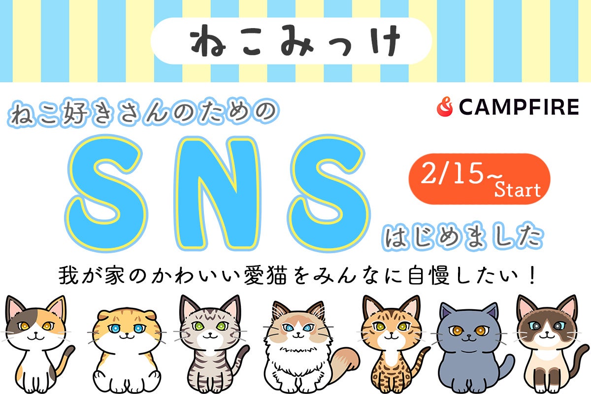 全ての猫を繋ぐ】ねこ専用SNS「ねこみっけ」で猫と人の新しい出会いを