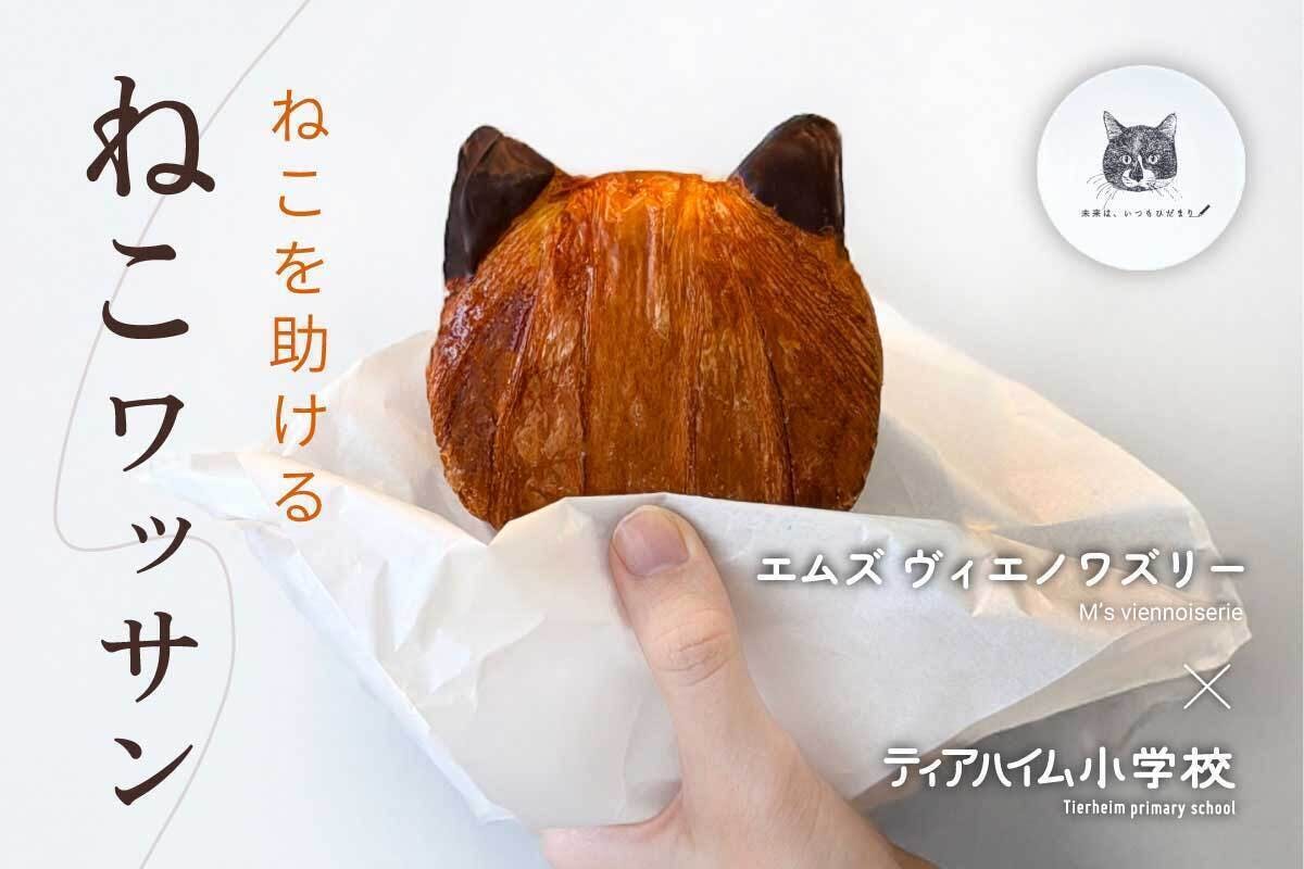 ネクストゴール挑戦】たくさんのご支援をありがとうございます