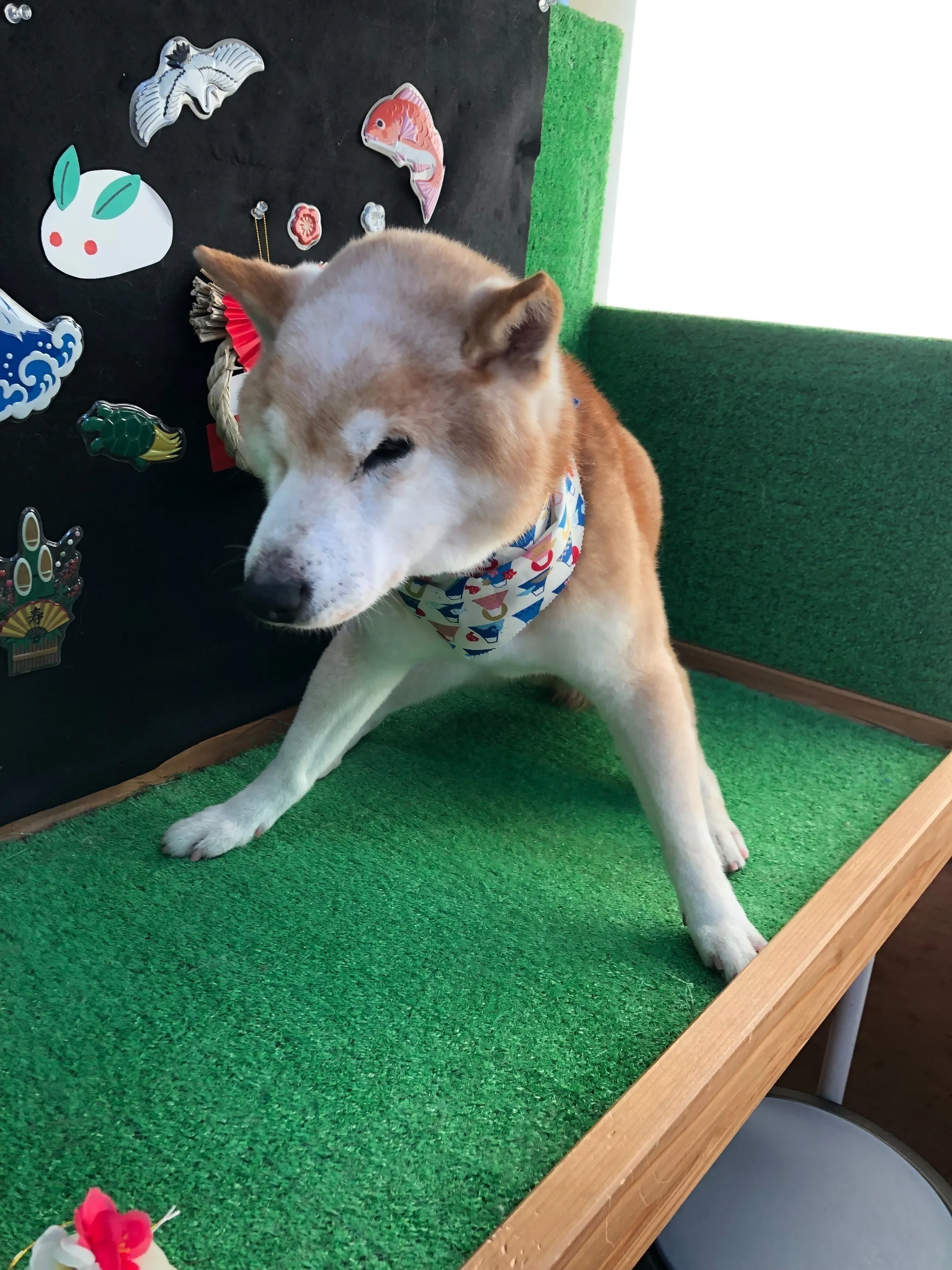 4番目のメイン画像