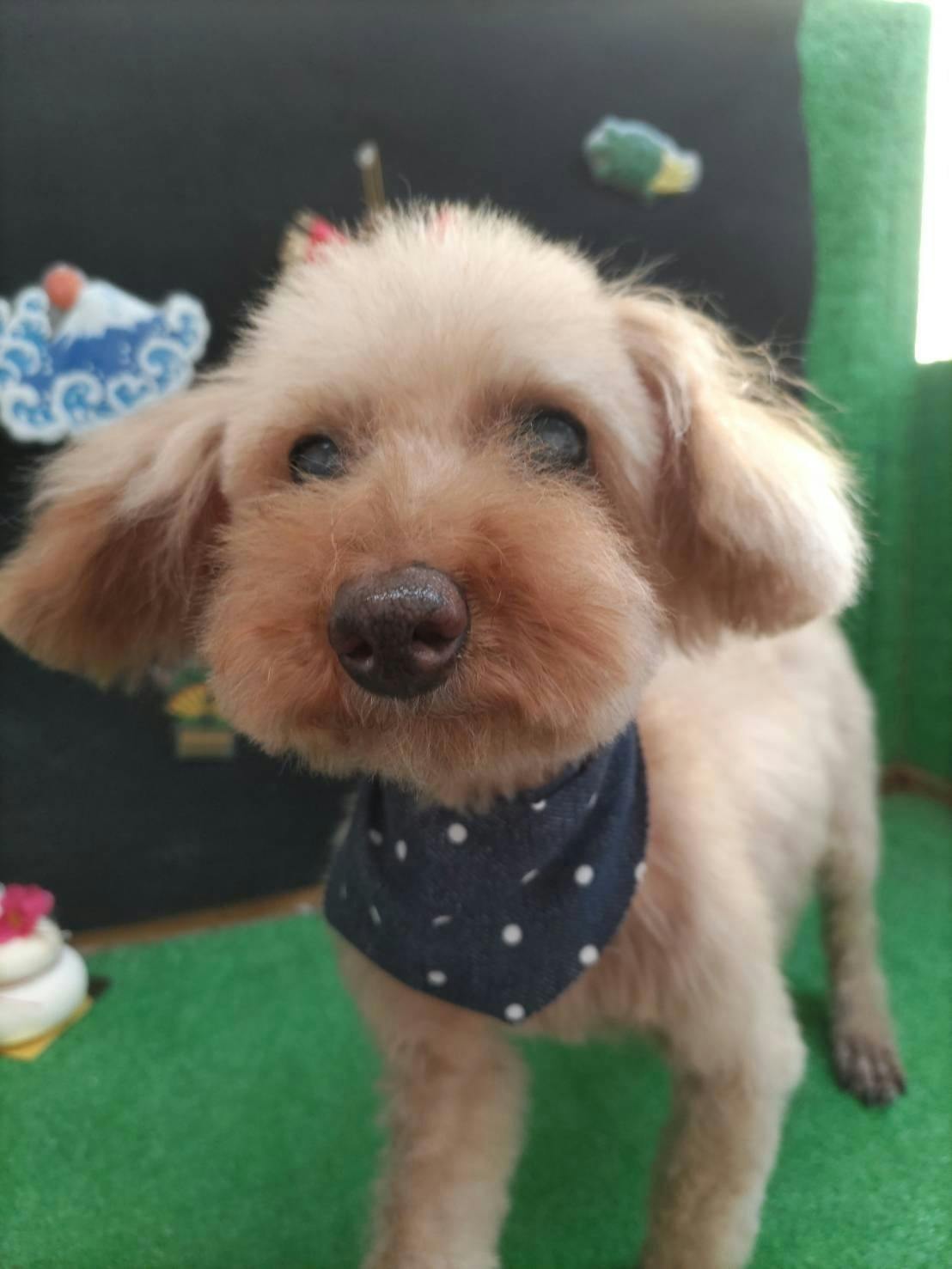 2番目のメイン画像