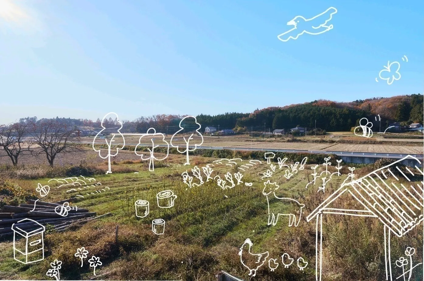 2番目のメイン画像