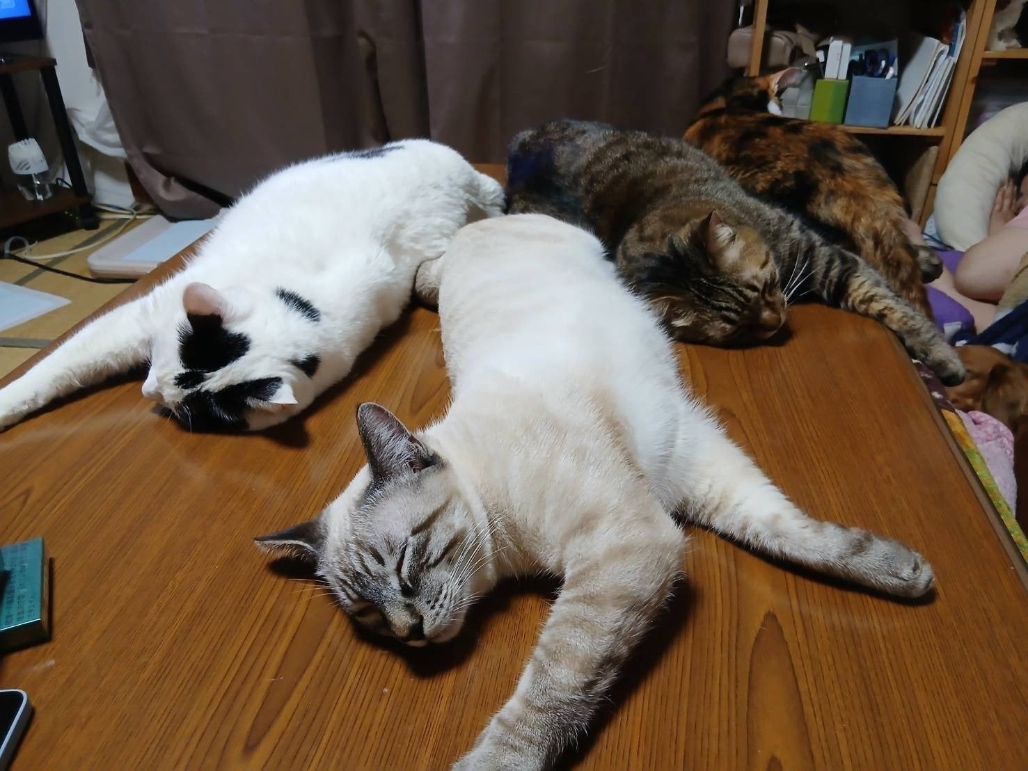 2番目のメイン画像
