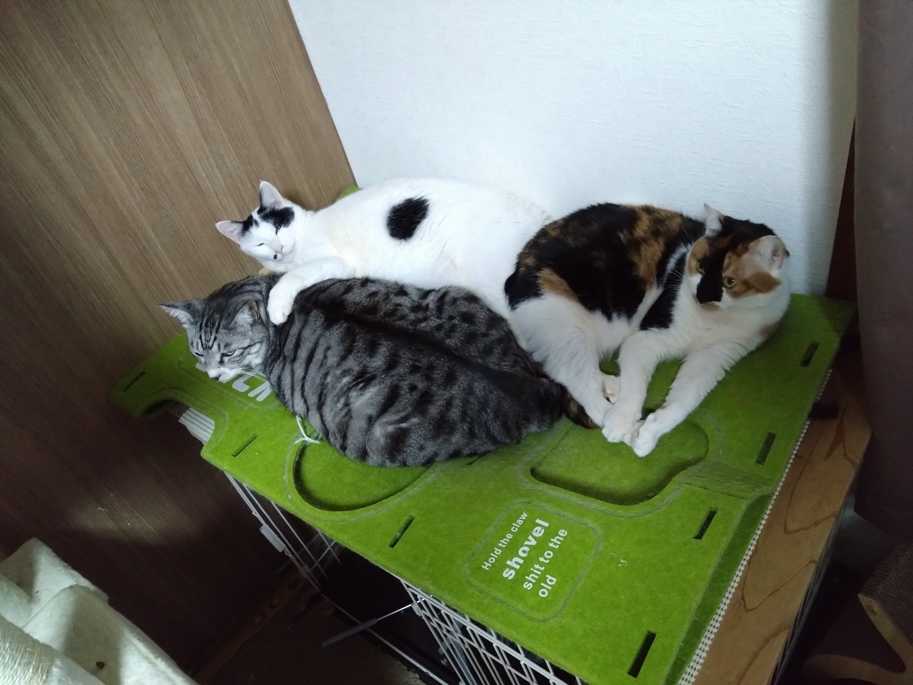 3番目のメイン画像